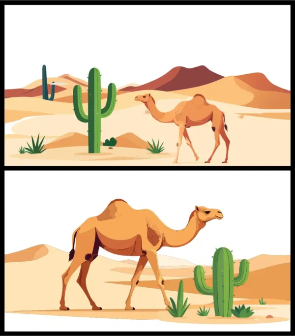 Camel in Desert Landscape Sand Dunes Cactus Vector Background Set - 01